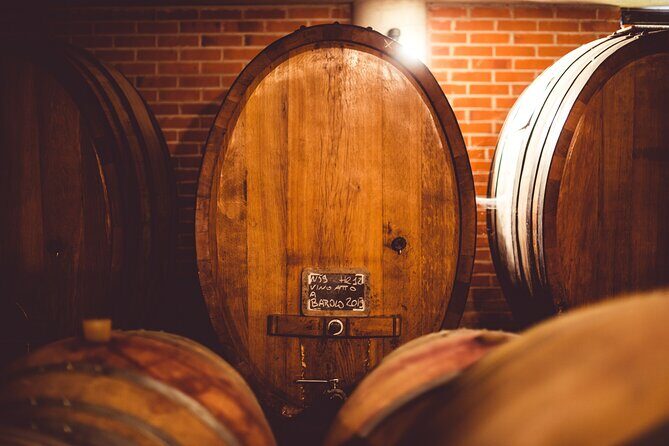 Barbaresco and Barolo Tasting at Cantina Francone - Red wine ageing room: the craft behind Barbaresco and Barolo