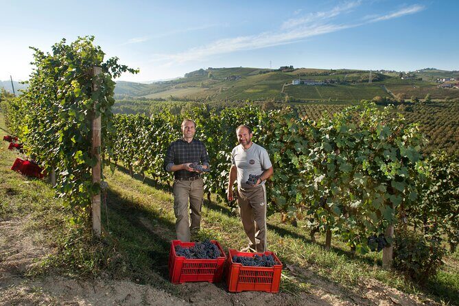 Barbaresco and Barolo Tasting at Cantina Francone - What might feel short—and how to make the most of it