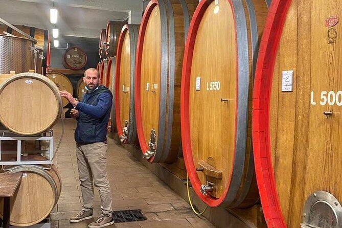 Barolo&Barbaresco Wine Experience with a Local Winemaker / Torino - Key Highlights Before You Go