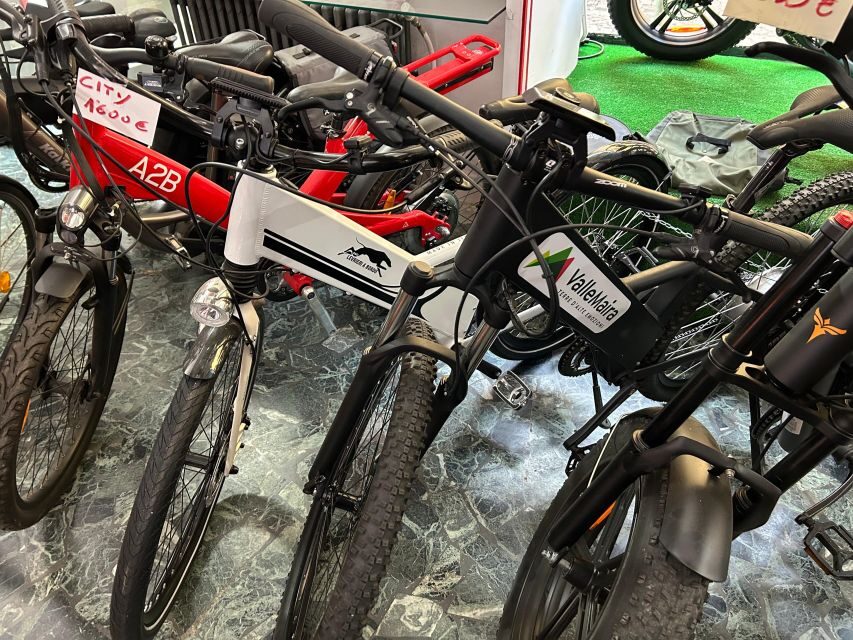 bike, ebike tandem rent - Key highlights at a glance