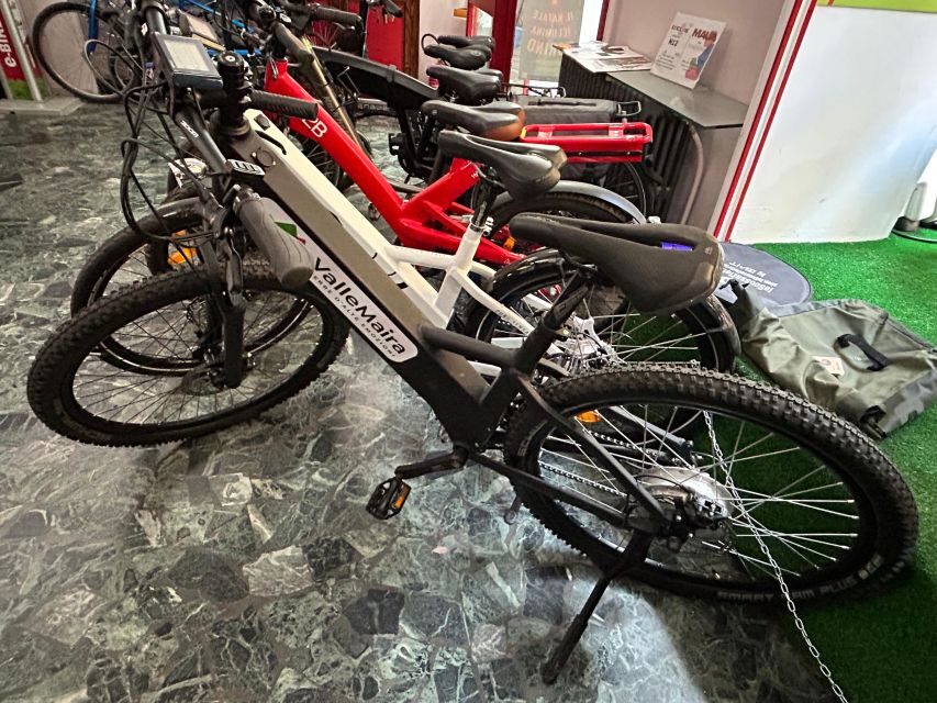 bike, ebike tandem rent - Stupinigi hunting lodge and Venaria Palace: beyond the core