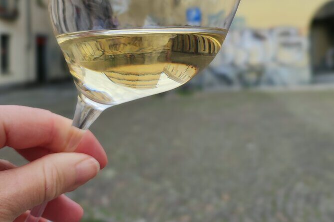Discover Turin between art and wine tastings - Logistics that matter: duration, walking comfort, and pace