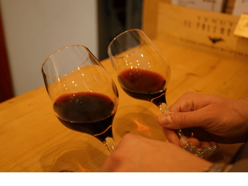Easy Wine Tasting in Turin City Center - Practical tips so your hour goes smoothly