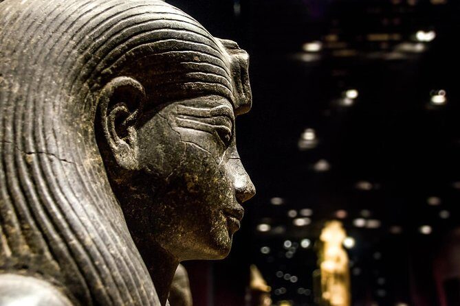 Egyptian Museum Private Tour - Skip-the-Line - Key highlights you’ll care about