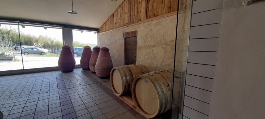 From Turin: food and wine guided tour in Canavese - Price and value: where your money goes in 8 hours