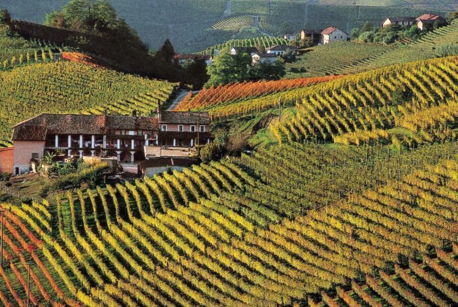 Full-Day Langhe Region Tour with Wine Tasting Experience - Key highlights at a glance