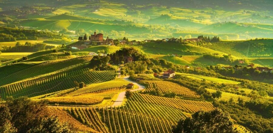 Full-Day Langhe Region Tour with Wine Tasting Experience - Winery time: tasting major Piedmont labels like Barolo and Barbaresco