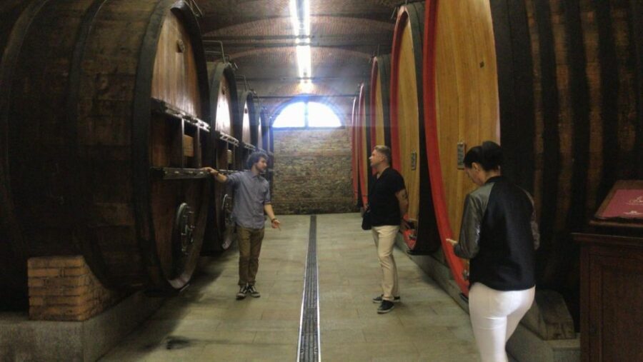 Full-Day Langhe Region Tour with Wine Tasting Experience - Lunch in a trattoria with big Langhe-hills views