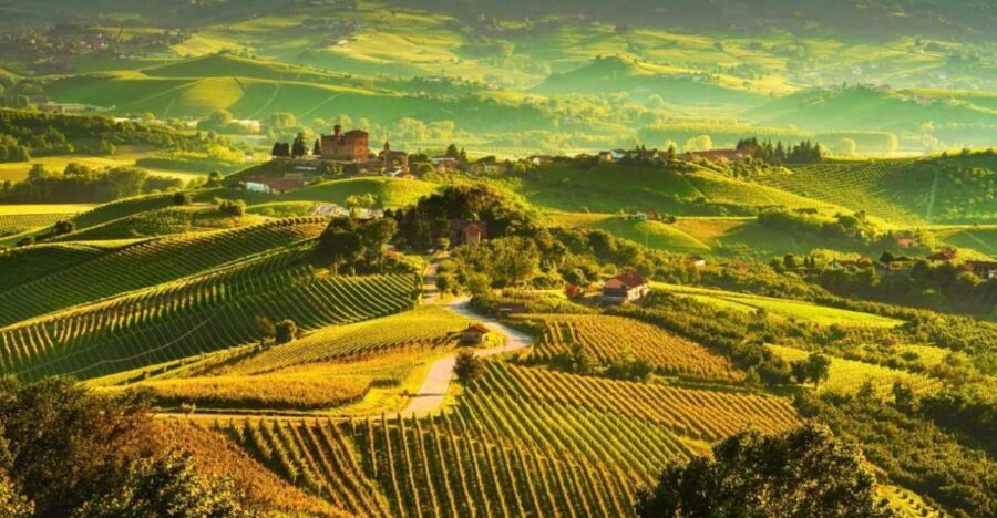 Full-Day Langhe Region Tour with Wine Tasting Experience - Private car comfort from Turin to Monferrato and Langhe