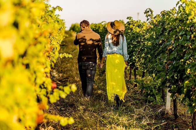 Langhe Wine & Food Tour from Turin: Barolo and More - Meeting in Turin and the Van Ride That Keeps You on Track