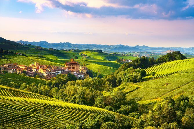 Langhe Wine & Food Tour from Turin: Barolo and More - Barolo Estate Stop: Vinification Stages Before You Taste