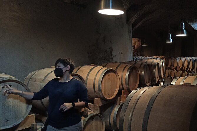 Langhe Wine & Food Tour from Turin: Barolo and More - Alta Langa Winery Visit: Farming to Fermentation to Ageing