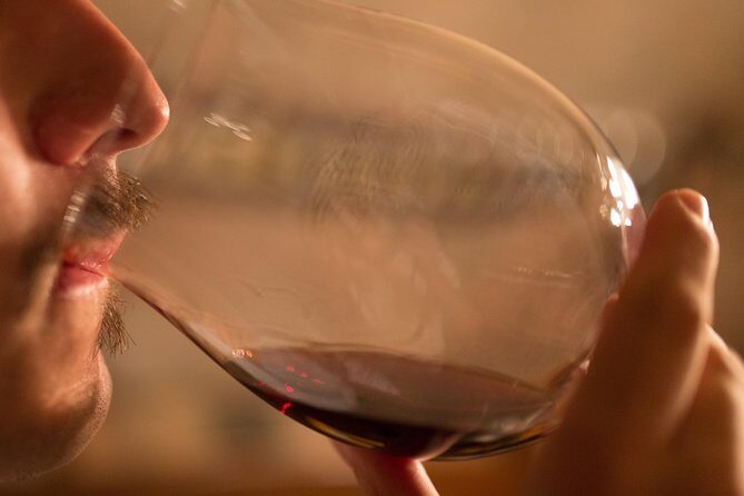 Piedmont Winery Tour: Taste Barolo, Barbaresco & Traditional Food - Vineyard walk in the Barolo countryside: what you’ll notice