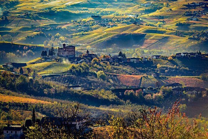 Piedmont Winery Tour: Taste Barolo, Barbaresco & Traditional Food - Food pairings that actually teach you what to taste