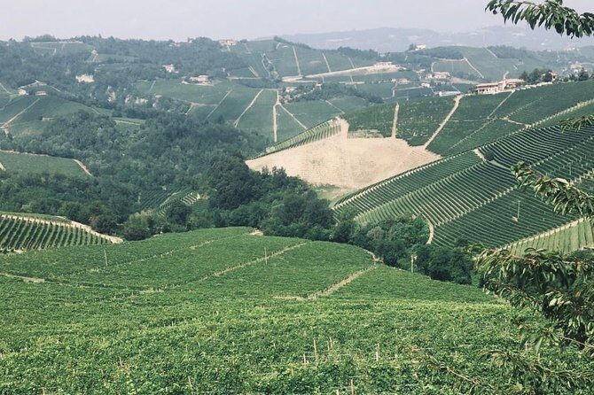 Private Barolo Wine Tour with Winemaker from Turin - What this tour does differently: Piedmont, not a random wine loop