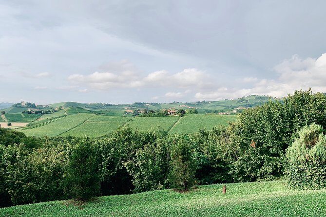 Private Barolo Wine Tour with Winemaker from Turin - Two commented Barolo tastings plus a full winery walkthrough