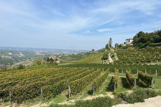 Private Barolo Wine Tour with Winemaker from Turin - Lunch in Piedmont style: booked for you, paid by you