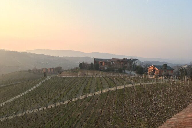 Private Barolo Wine Tour with Winemaker from Turin - Barbaresco afternoon tasting: same region, new lens