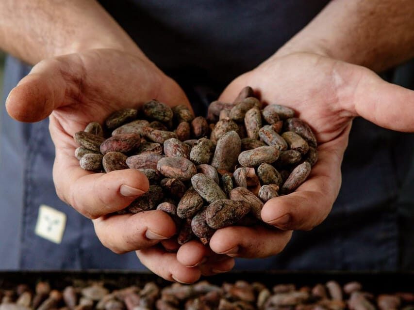 The Turin Chocolate Factory Guided Tour & Tasting - A Small Chocolate Lab Near Turin (and Why It’s Worth Your Time)