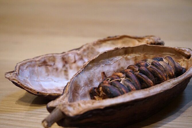 The Turin Chocolate Tasting Experience - Who This Tour Fits Best in Turin