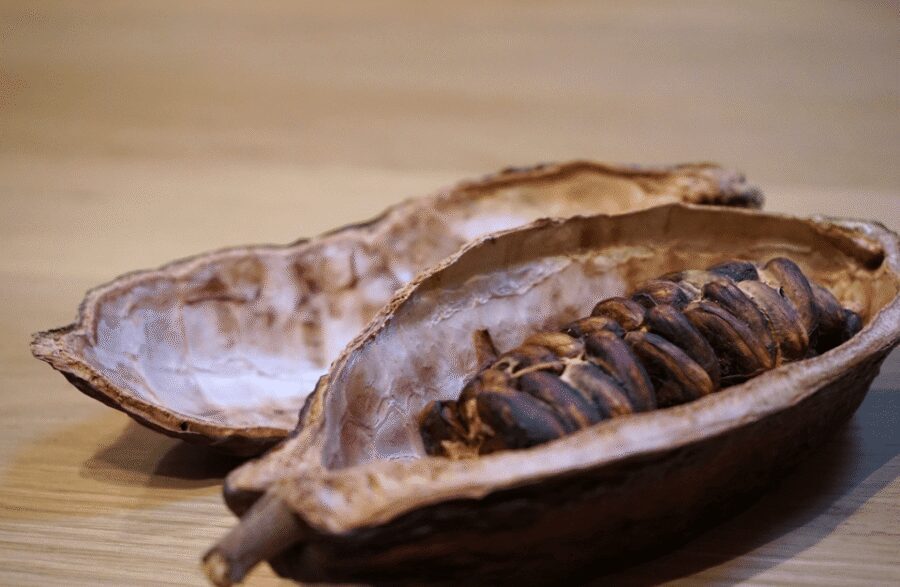 The Turin Chocolate Tasting Experience - Barolo Chinato pairing: sweet aromatized wine built for chocolate
