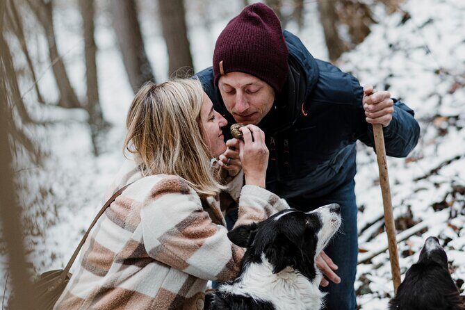 Truffle Hunting and Cheese, Truffle & Wine Tasting near Alba - Truffle hunting makes Piedmont feel real