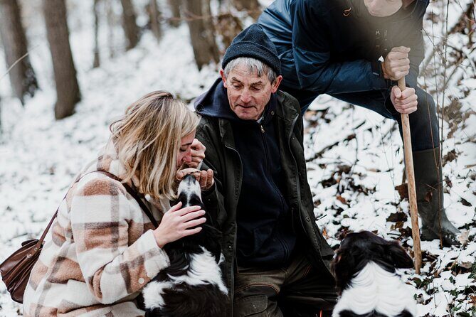 Truffle Hunting and Cheese, Truffle & Wine Tasting near Alba - Getting to Monforte d’Alba and the UNESCO vineyard drive