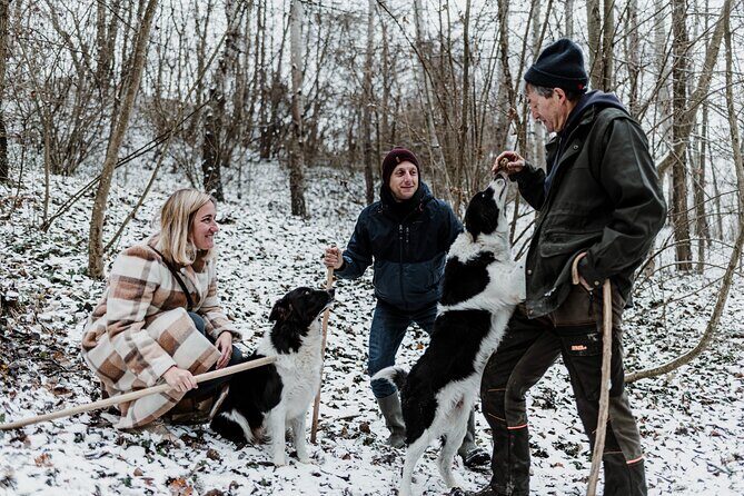 Truffle Hunting and Cheese, Truffle & Wine Tasting near Alba - What the forest walk is like (and what to wear)