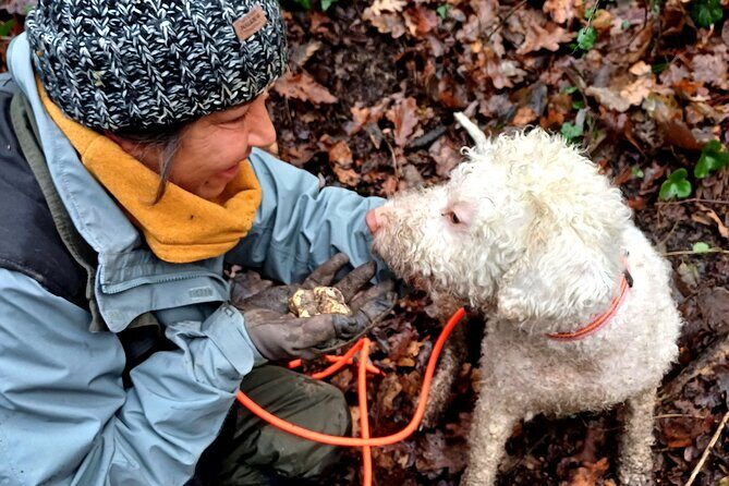 Truffle Hunting and Lunch in Piedmont Trattoria - What makes this truffle hunt special