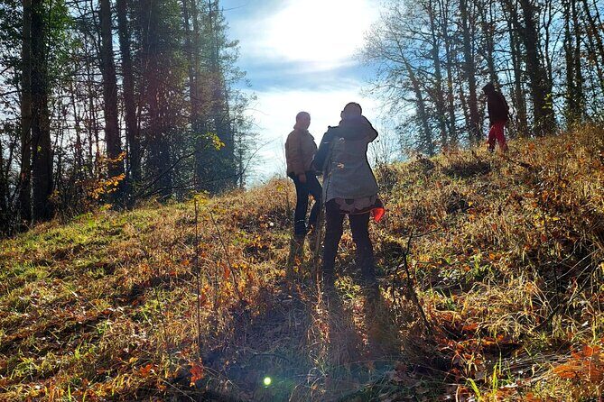 Truffle Hunting and Lunch in Piedmont Trattoria - Who this is best for (and who should think twice)