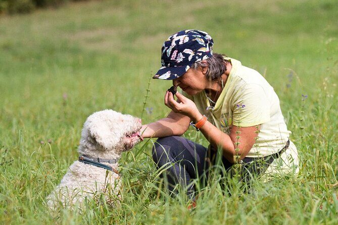 Truffle Hunting and Lunch in Piedmont Trattoria - White vs black truffles: the season you should match your trip to