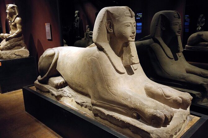 Turin: Egyptian Museum & city tour guided experience - The City Walk: Galleria Subalpina and Turin’s Arcade Rhythm
