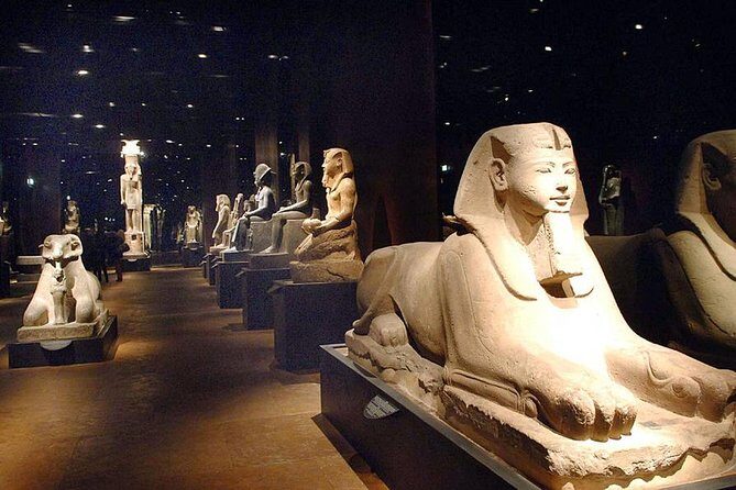 Turin Egyptian Museum Entry Ticket plus Turin Digital Audioguide - Value check: is the $124 price fair for what you get?