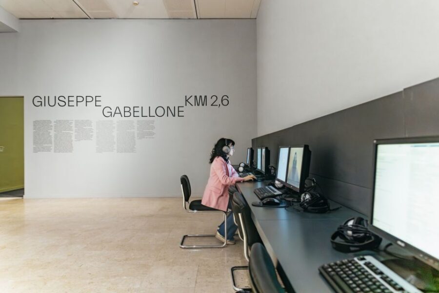 Turin: Gallery of Modern and Contemporary Art Entry Ticket - Key things I’d plan for at Turin’s GAM