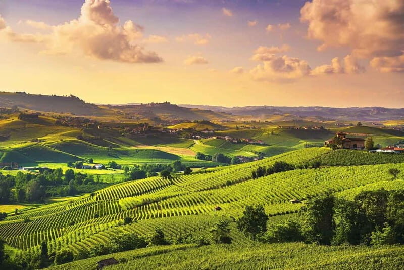 Turin: Langhe Wine Tour with Private Transfers and Lunch - Key highlights at a glance