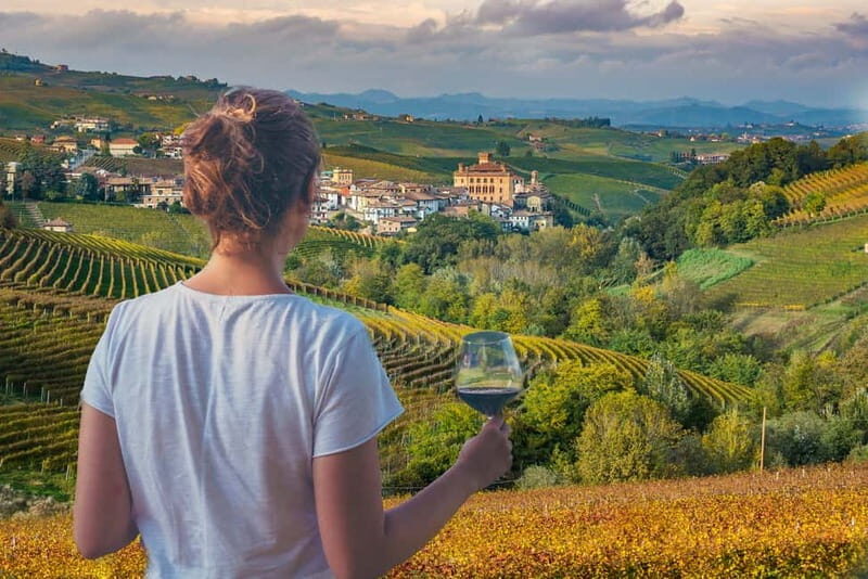 Turin: Langhe Wine Tour with Private Transfers and Lunch - Private transfers from Turin: the best part is how un-rushed it feels