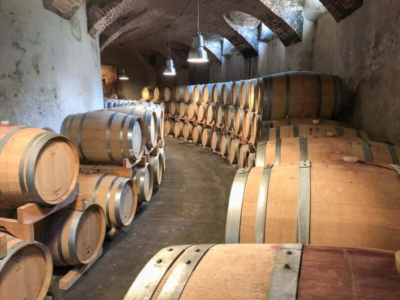 Turin: Langhe Wine Tour with Private Transfers and Lunch - Winery stop two: compare styles after lunch, not before