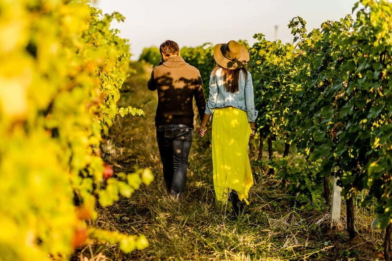 Turin: Langhe Wine Tour with Private Transfers and Lunch - Winery stop one: cellar tour and a four-wine tasting with a sommelier