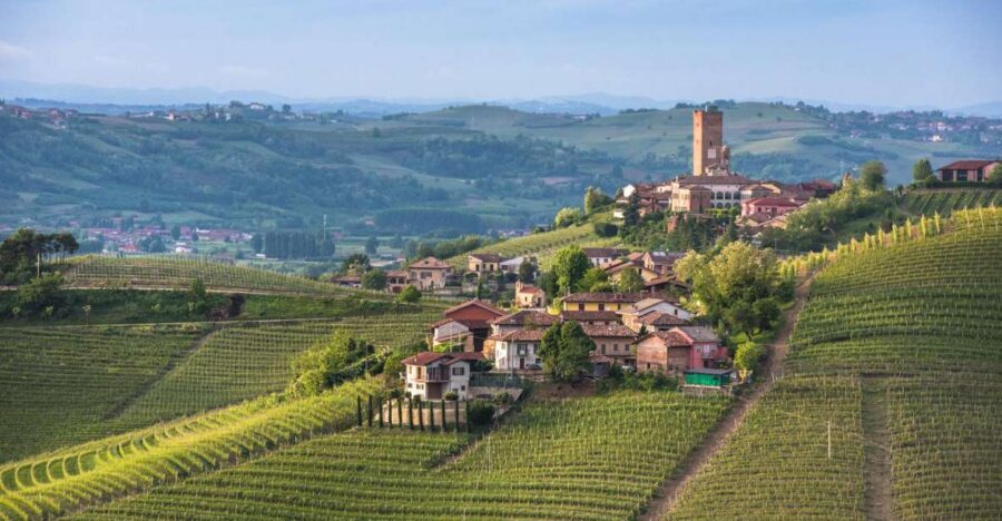 Turin: Private Barolo Wine Region Day Trip with Lunch - Private chauffeured transport that actually changes the day