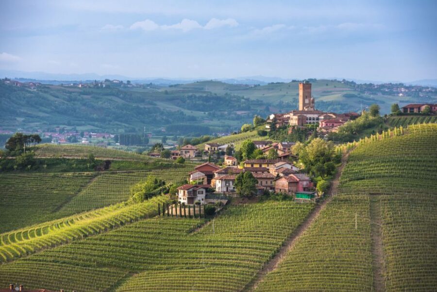 Turin: Private Barolo Wine Region Day Trip with Lunch - Langhe drive and Barbaresco center: views plus old-stone context
