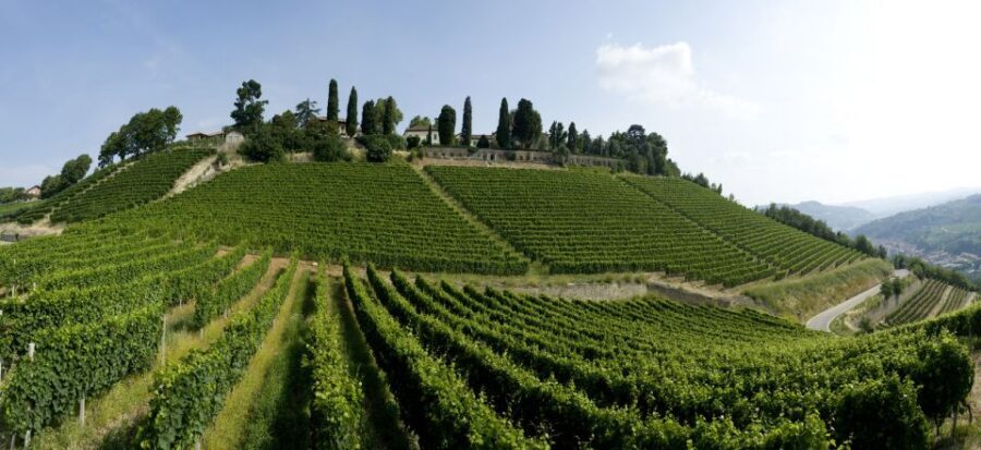 Turin: Private Barolo Wine Region Day Trip with Lunch - Tips to get more from your 8-hour wine schedule
