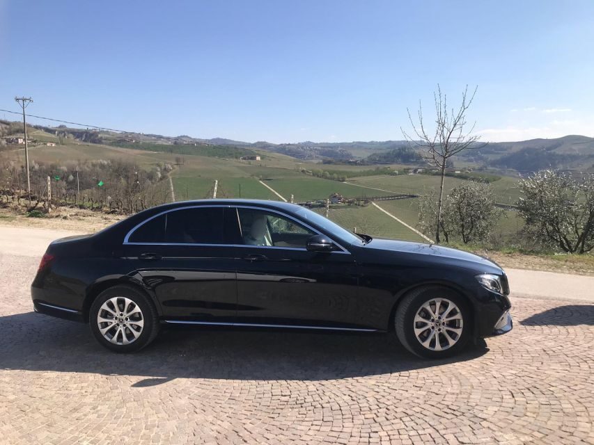Turin: Private Barolo Wine Region Day Trip with Lunch - Alba winery tasting: where Barolo gets its foundation