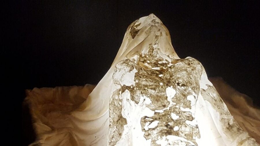 Turin: Private Tour on The Path of The Holy Shroud - Who this tour suits best (and what to expect physically)