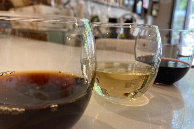 Vermouth Multi-sensory Tasting in Turin - Turin’s aperitivo, taught the practical way