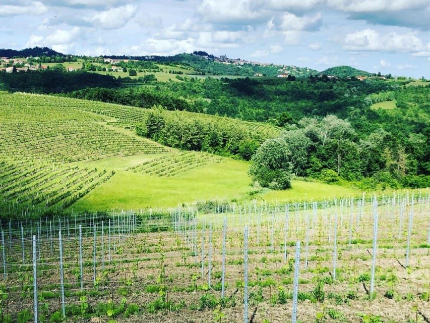 Wine Tasting and Winery Visit near Asti and Turin - Key things to know before you go