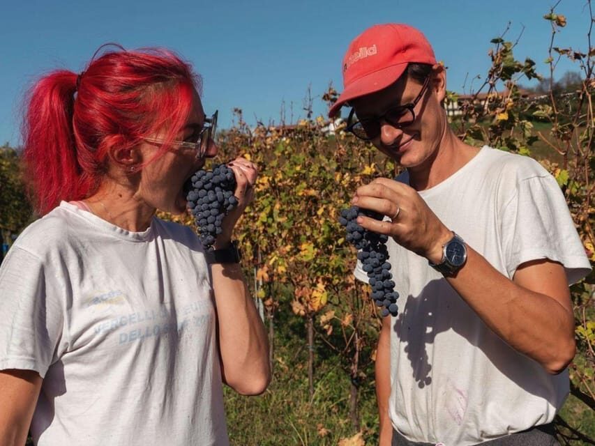 Wine Tasting and Winery Visit near Asti and Turin - What makes the guide part feel different (and actually useful)