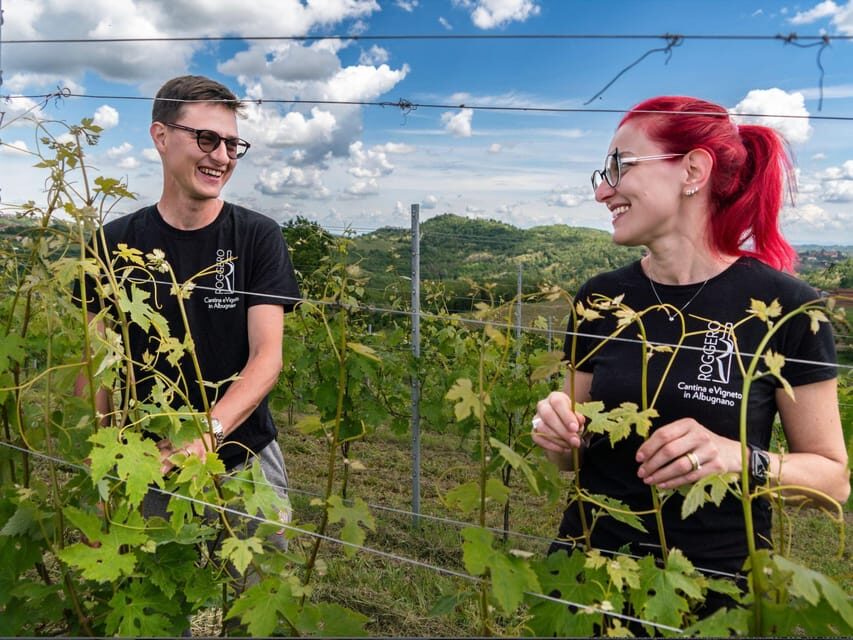 Wine Tasting and Winery Visit near Asti and Turin - Price and timing: is $46 in 1.5 hours good value?