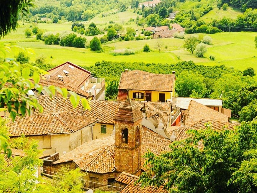 Wine Tasting and Winery Visit near Asti and Turin - Who should book this wine tasting—and who might want another option